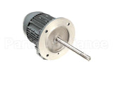 20750010 Gemini Fan Motor