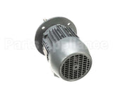 20750010 Gemini Fan Motor