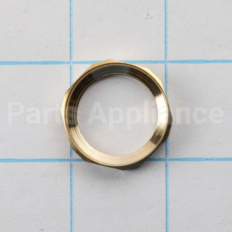 210468P Fisher Paykel Nut M22 Jet Holder (Pkd)