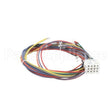 21058 Compatible Blodgett Harness, Wiring Control Comp