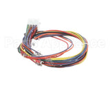 21058 Blodgett Harness, Wiring Control Comp