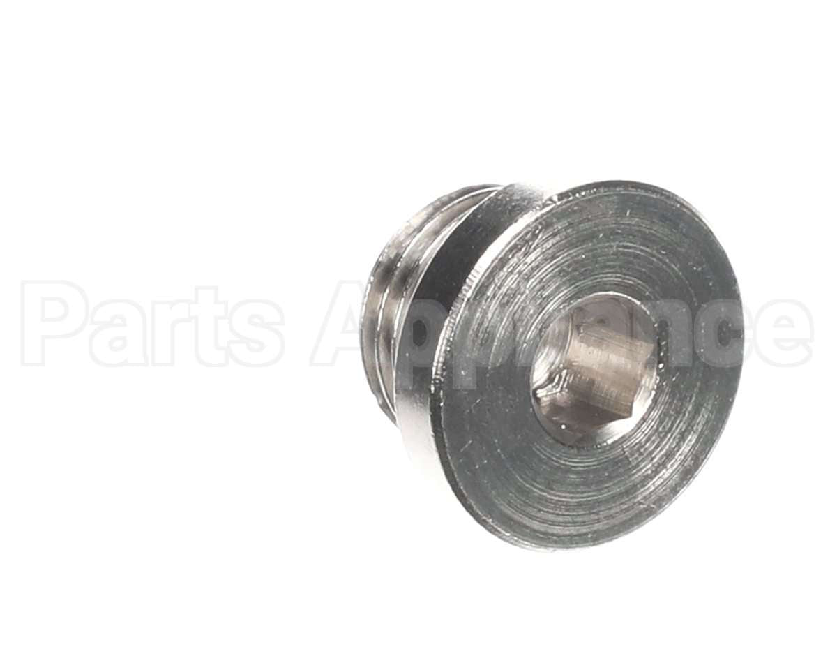 21103 Unic Brass Plug - 1/4 Bspm (6Mm Socket Cap)