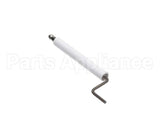 21200167 Gemini Electrode Assembly