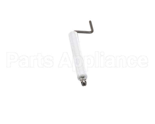 21200167 Gemini Electrode Assembly