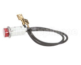 212071 Duke Bulb,125V Pilot Red