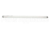 212446 Duke Lamp,Fluor Ww 15W F15T8