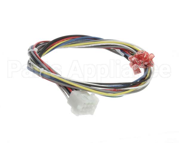 21591 Blodgett Harness,Conduit 2Sp