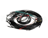21641 Henny Penny Harness-208V Ofe/Oea341 Wire