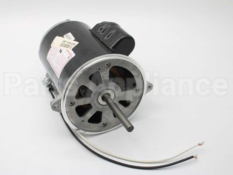 21819-002 Wayne Combustion Motor 1/2 120/230/50-60