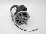 21819-002 Wayne Combustion Motor 1/2 120/230/50-60