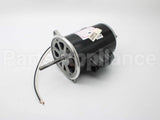 21819-002 Wayne Combustion Motor 1/2 120/230/50-60