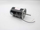 21819-002 Wayne Combustion Motor 1/2 120/230/50-60