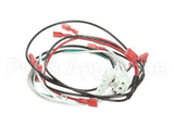 2183312 Delfield Harness,Wire,Coil,W/T- Stat