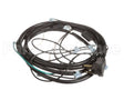 2183349 Delfield Harness,Wire,Power Cord 225/227