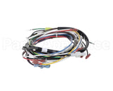 2184167 Delfield Harness,Wire,Frz,1Dr Upright