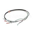 2187270 Compatible Delfield Cord, 16/3, Blender Modul E Harne
