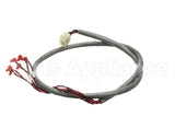 218809 Duke Harness, Wire Hdc Display/Rtd