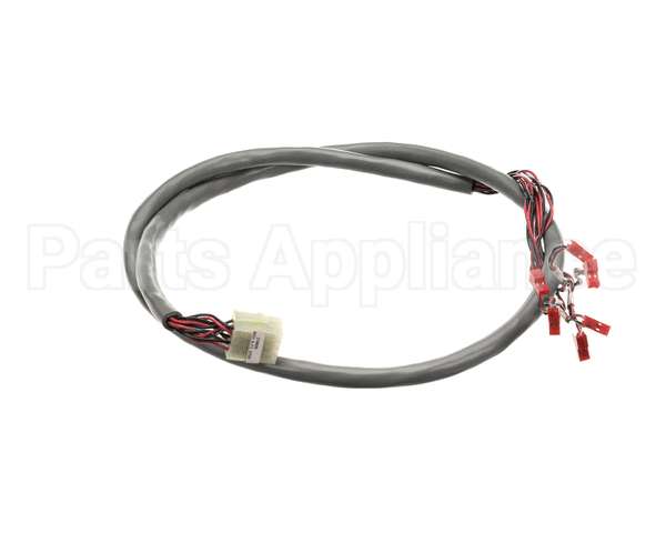 218809 Duke Harness, Wire Hdc Display/Rtd