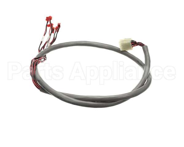 218809 Duke Harness, Wire Hdc Display/Rtd