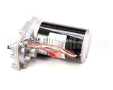 2195297 Multiplex Motor,Gear,Bison,Bic