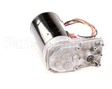 2195297 Multiplex Motor,Gear,Bison,Bic