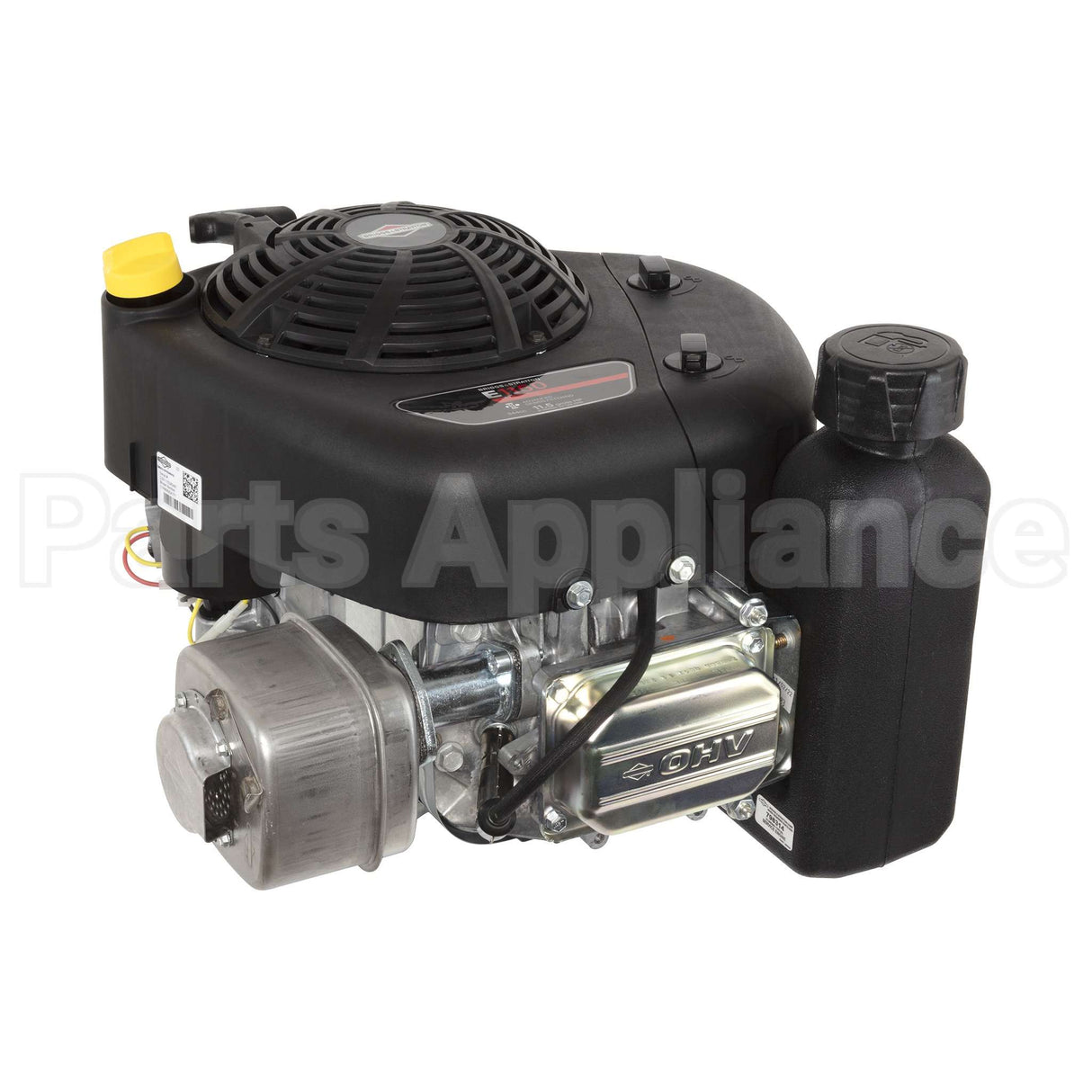 21R806-0047-F1 Briggs & Stratton Engine Packed Single Carton