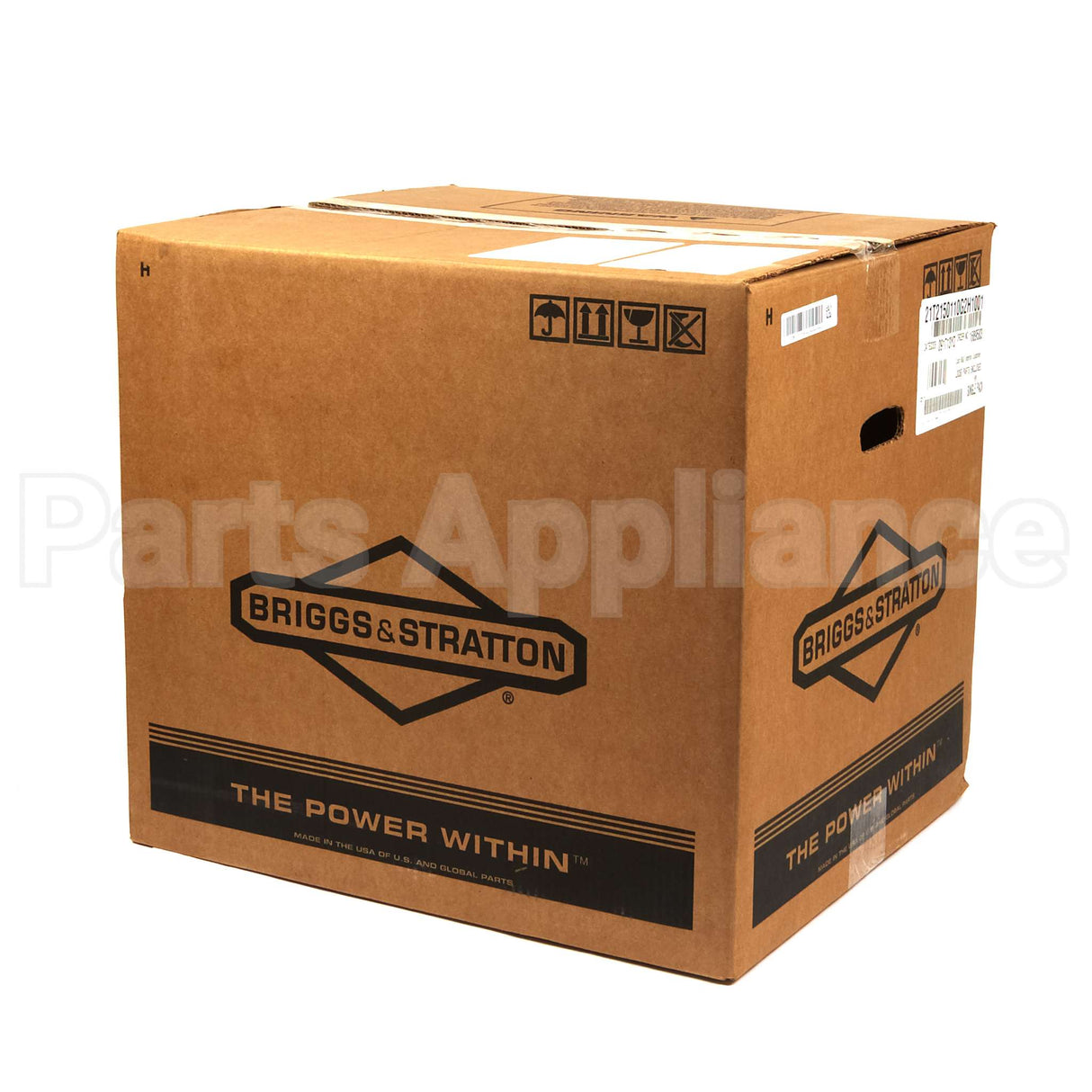 21T215-0110-G2 Briggs & Stratton Engine Packed Single Carton