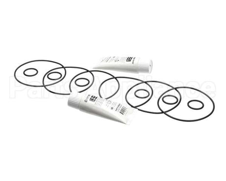 2202072 Stoelting Kit; Minor Tune Up (Os 3 Brl)