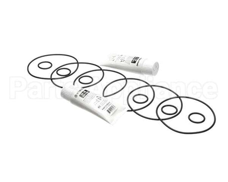 2202072 Stoelting Kit; Minor Tune Up (Os 3 Brl)