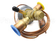 220556 Reznor Txv Bbize-8-Zga