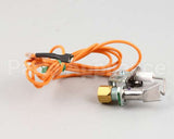 2206515 Garland Spark Ignition Pilot Nat 48In