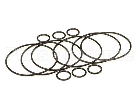 2208802 Stoelting Oem Os Quarterly Kit