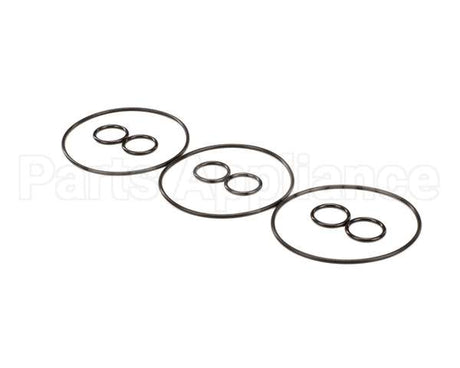 2208810 Stoelting Oem Cc303 Qrtly Kit