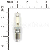 2238 NGK Tr5 Spark Plug