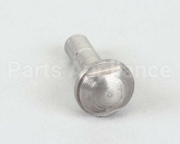 22415P Silver King Pin Hinge