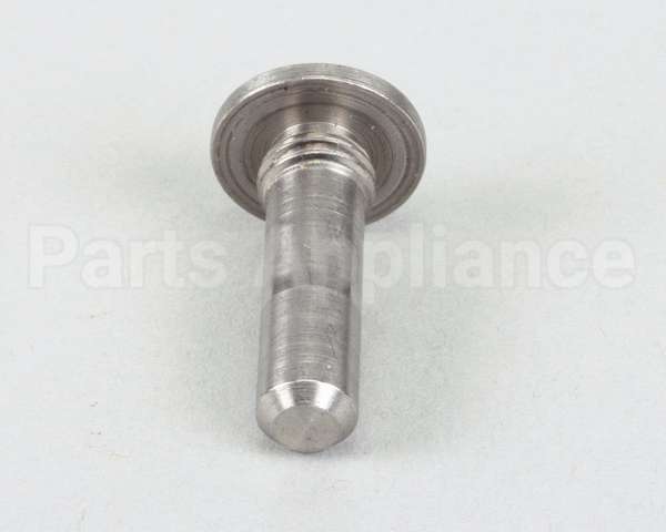 22415P Silver King Pin Hinge