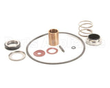 22462 Power Soak Systems Pump Seal Kit - Burks ( I )