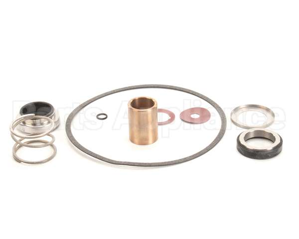 22462 Power Soak Systems Pump Seal Kit - Burks ( I )