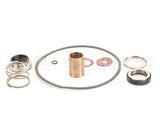 22462 Power Soak Systems Pump Seal Kit - Burks ( I )