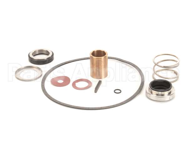 22462 Power Soak Systems Pump Seal Kit - Burks ( I )