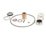 22462 Power Soak Systems Pump Seal Kit - Burks ( I )