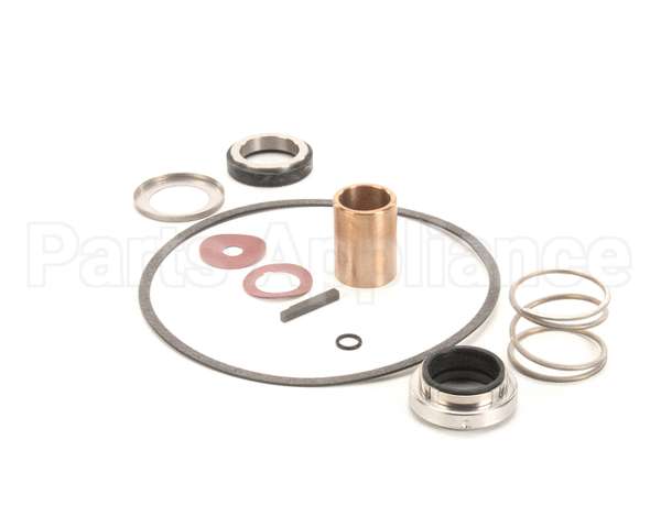 22462 Power Soak Systems Pump Seal Kit - Burks ( I )