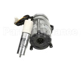 2290-008 Concordia Beverage Assembly Grinder Ascent