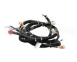 22A669 Ultrafryer Cable, Main Bank P3 Ph Basic