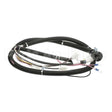 22A670 Compatible Ultrafryer Cable Main Bank Eu Ph Basic