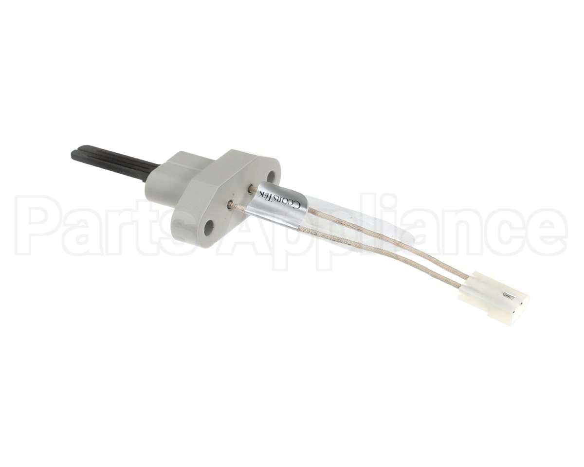 2400-286 Bradford White Ignitor W/Gasket