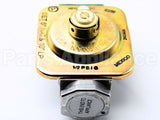 241669P Fisher Paykel Regulator Nat/Lp (1Pk)