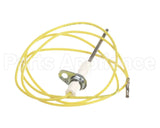 24376701 International Comfort Pro Sensor Flame Hsi Sk