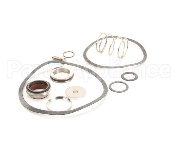 24463 Power Soak Systems Pump Seal Kit - Worthington (