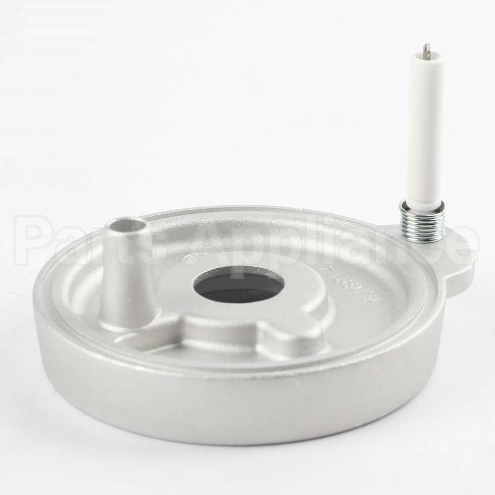 248977 Fisher Paykel Cburner Assy Evo2